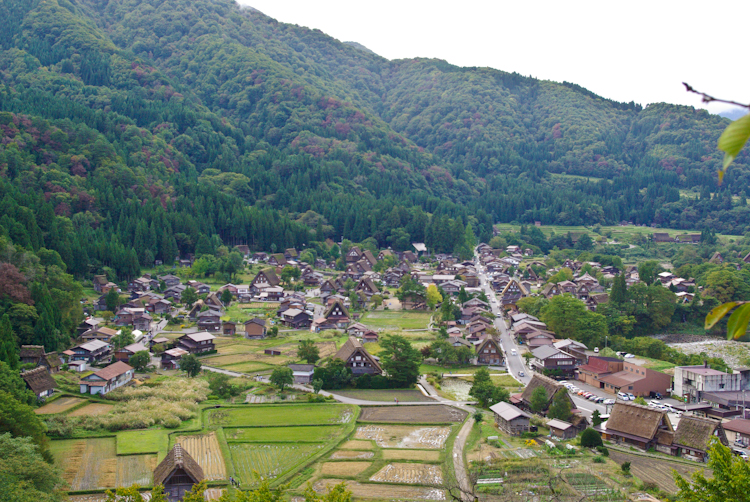20101010-IMGP0313.jpg