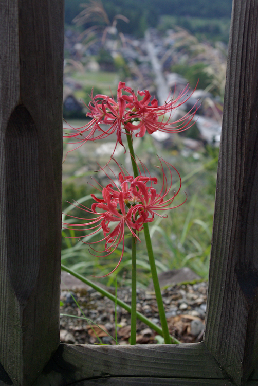 20101010-IMGP0323.jpg