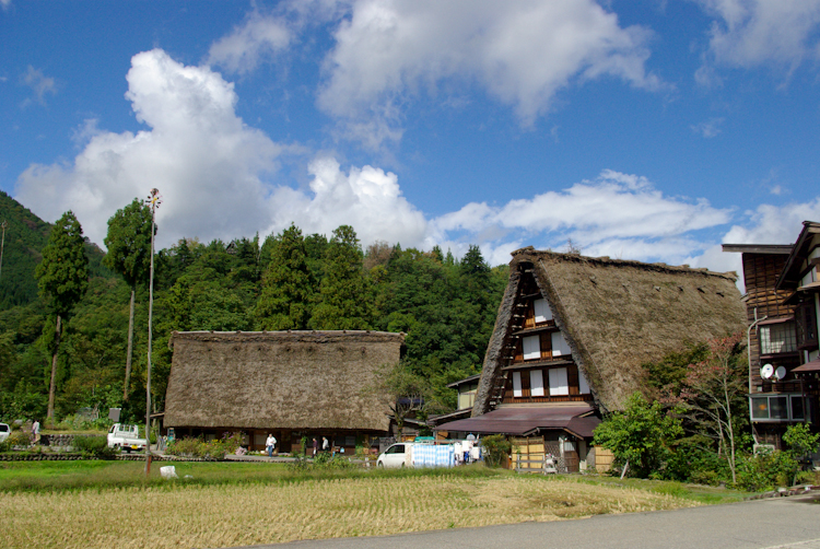 20101010-IMGP0343.jpg