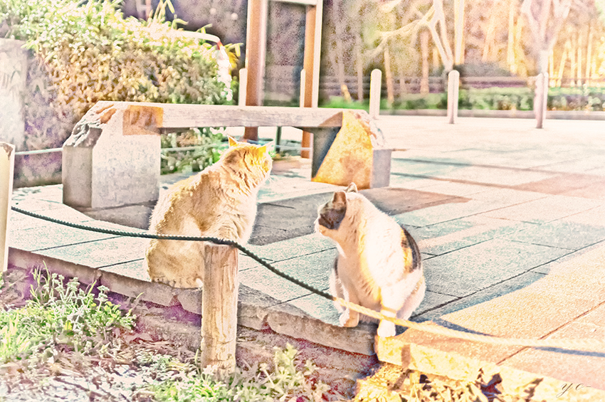 IMGP0935-Edit.jpg