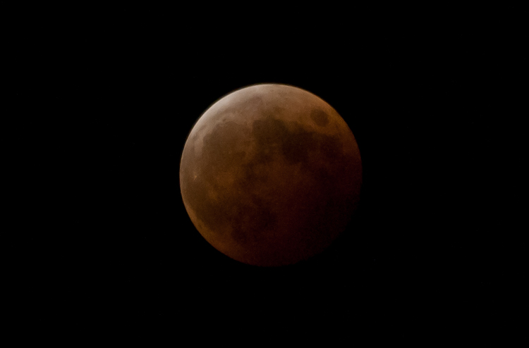 IMGP3289-2.jpg