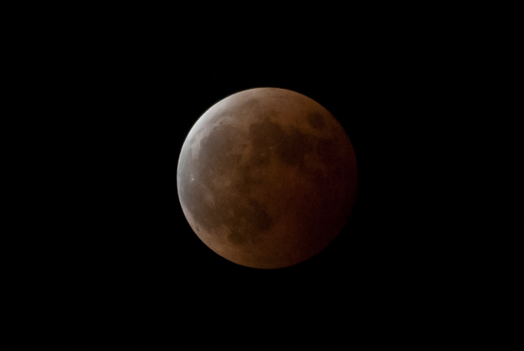 IMGP3313-2.jpg