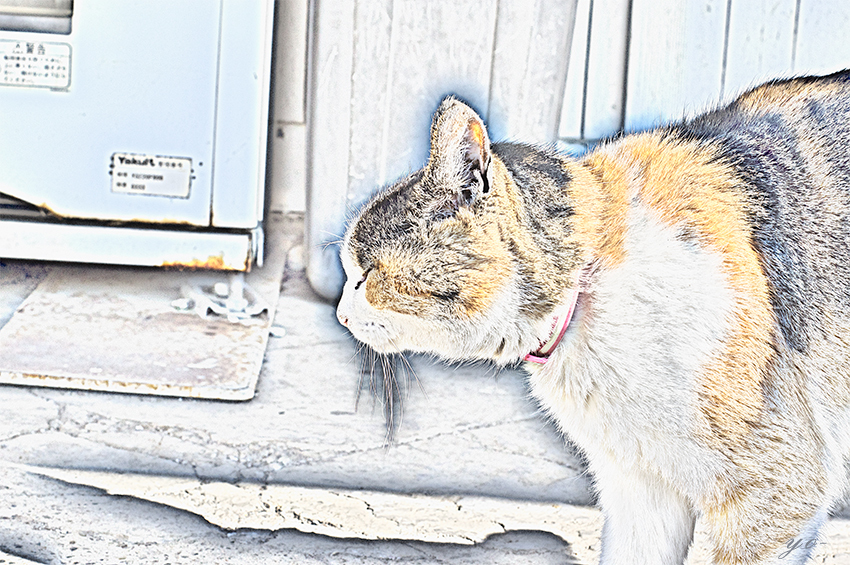 IMGP5166-Edit.jpg