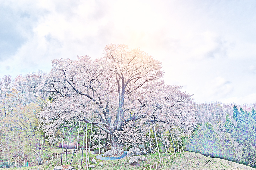 IMGP5281-Edit02.jpg