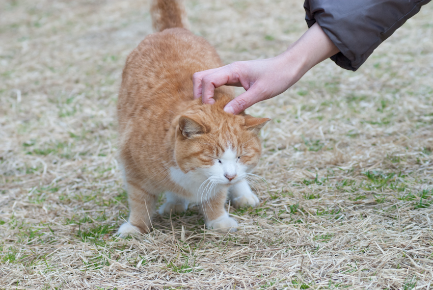 IMGP8481-2.jpg