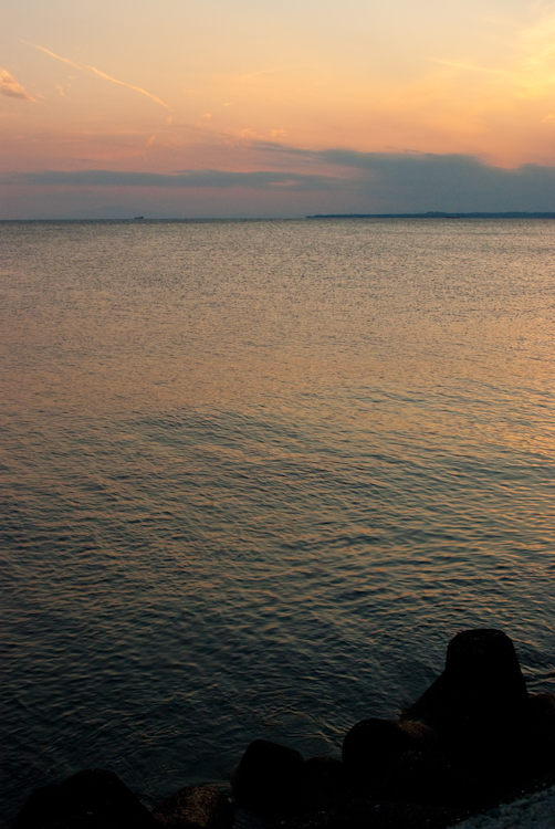 20090329-IMGP2430.jpg