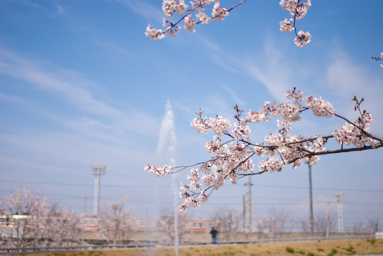 20090408-IMGP3269-2.jpg