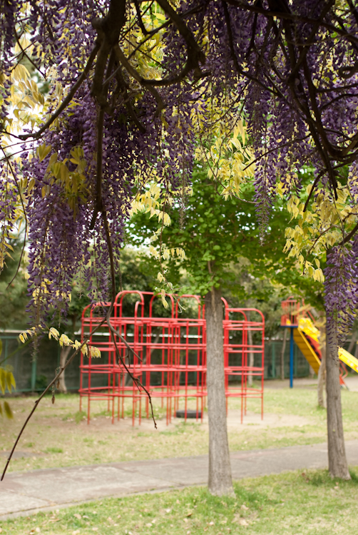 20090424-IMGP4430.jpg