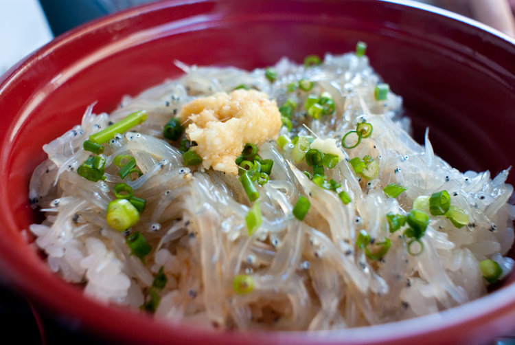 20090812-IMGP8635.jpg