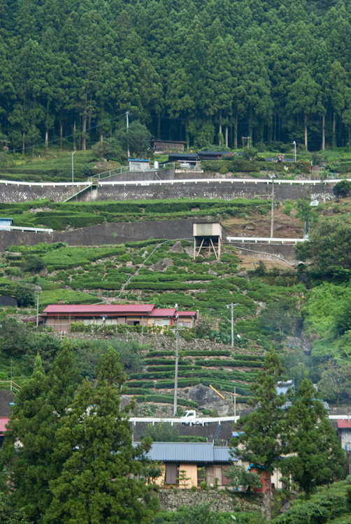 20090814-IMGP8802.jpg