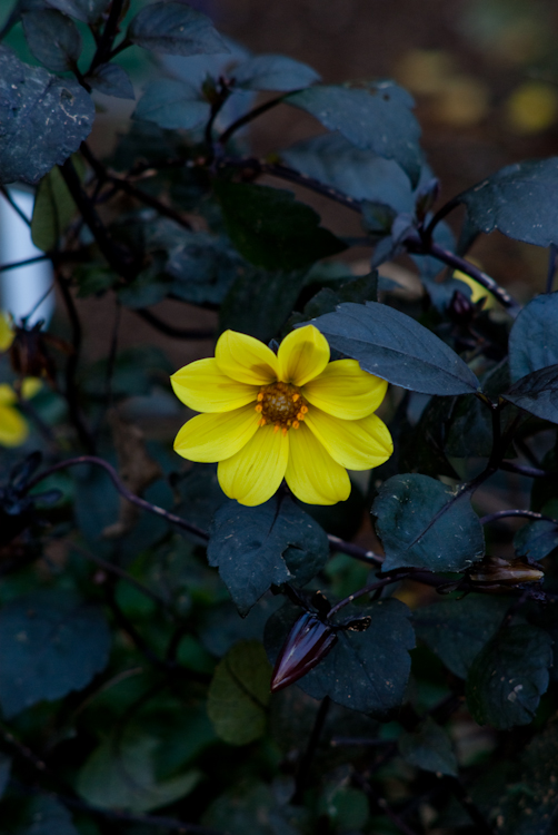 20091018-IMGP0016.jpg