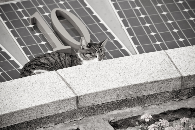 20091018-IMGP0122.jpg
