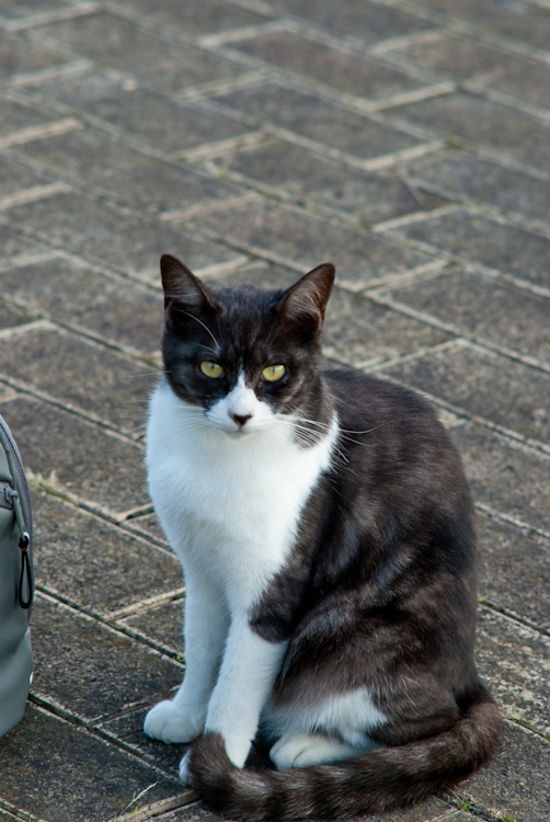 20091018-IMGP0124.jpg