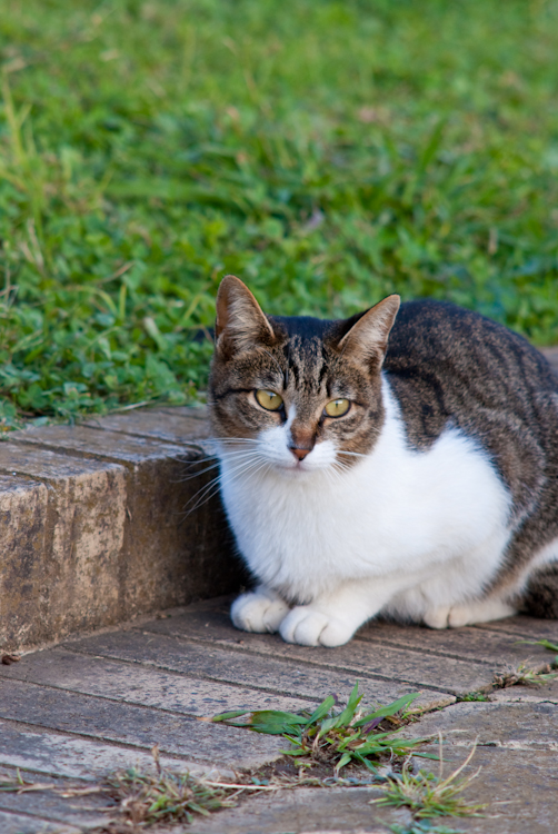 20091018-IMGP0129.jpg