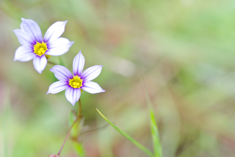 20100531-IMGP5901.jpg