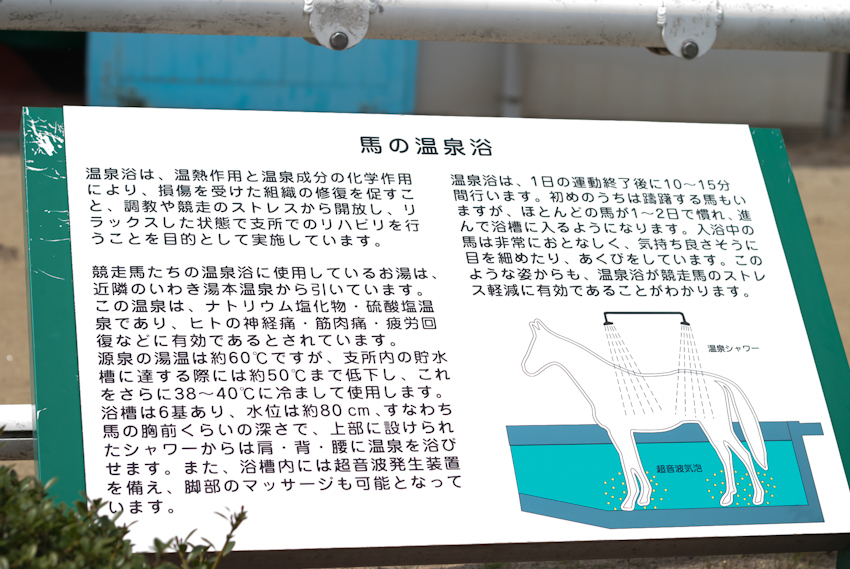 IMGP0029.jpg