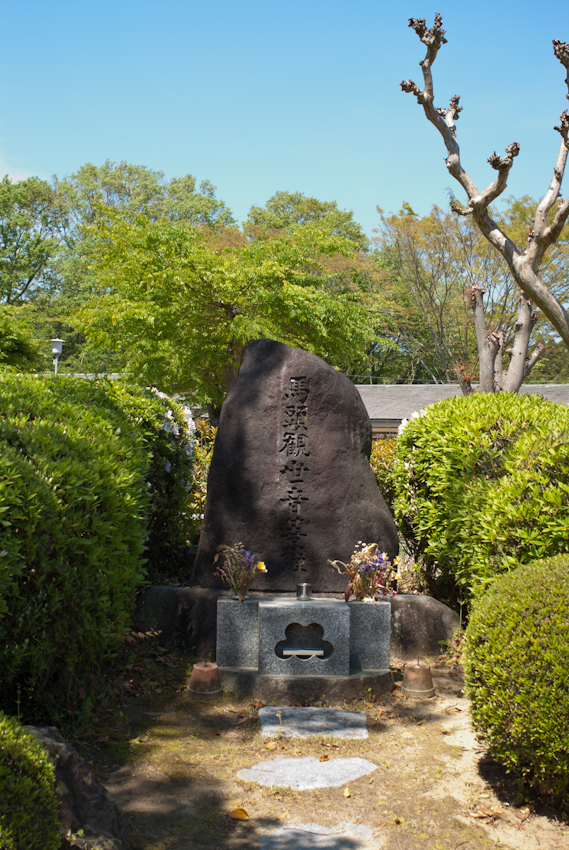 IMGP0185.jpg