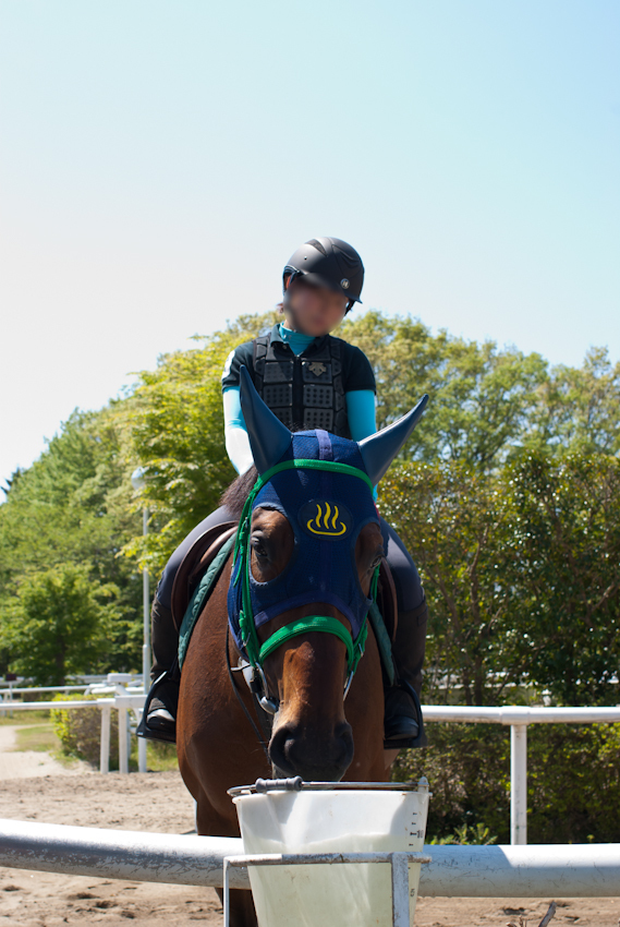 IMGP0204-Edit.jpg