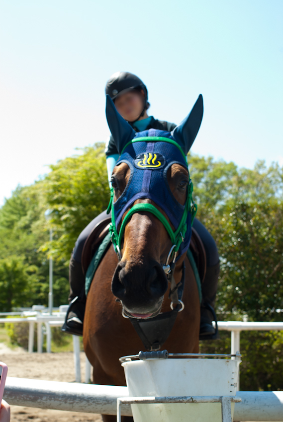IMGP0205-Edit.jpg