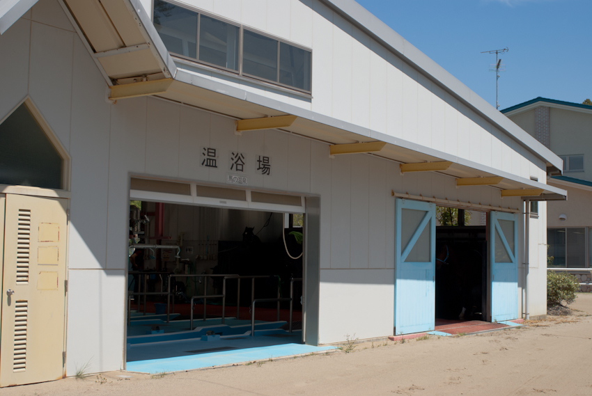 IMGP0212.jpg