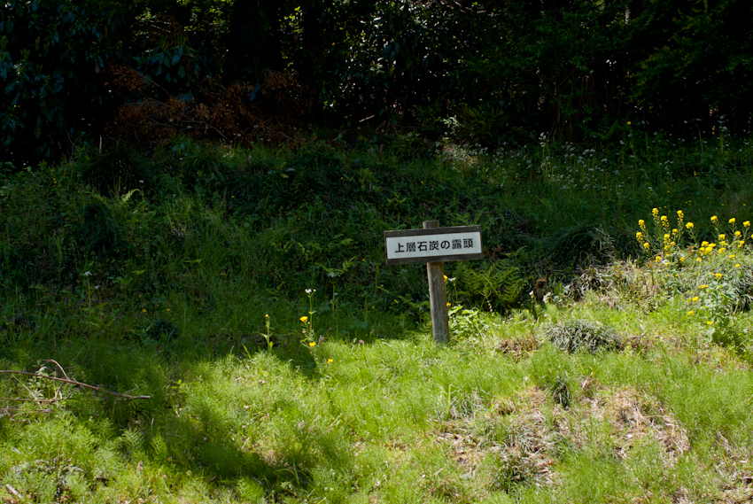 IMGP0224.jpg