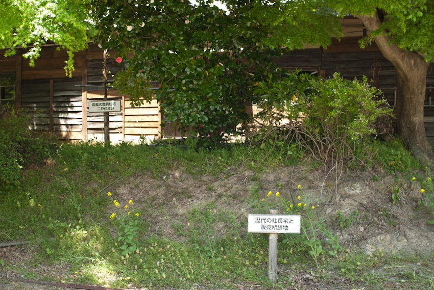 IMGP0254.jpg