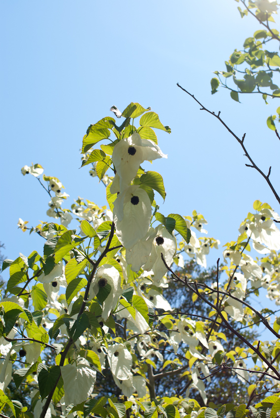 IMGP0317.jpg