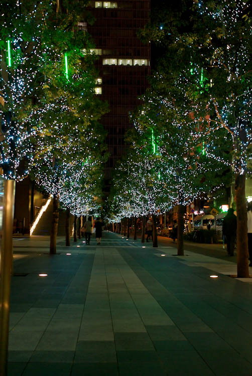 IMGP0762-Edit.jpg