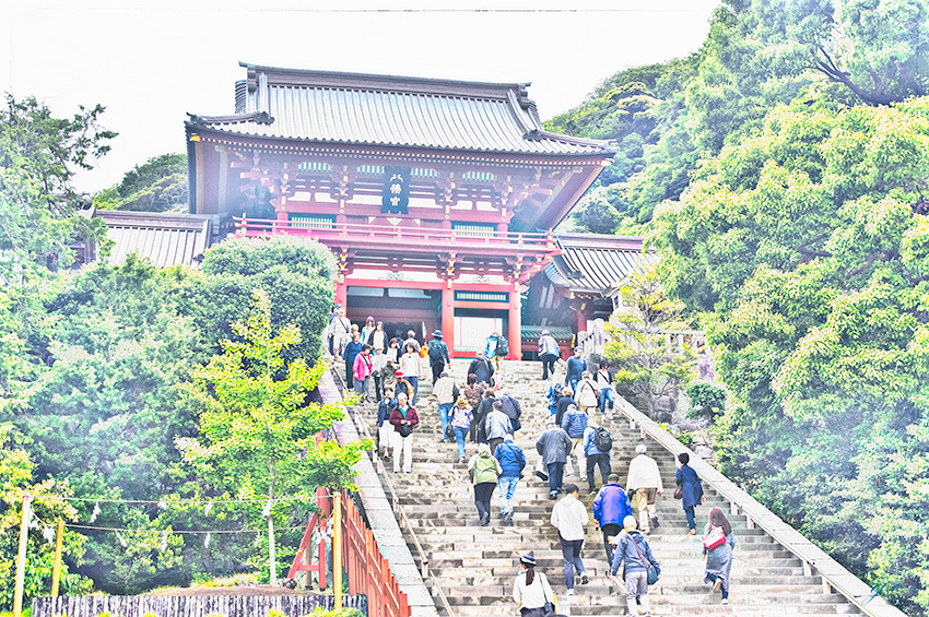 IMGP1815-Edit-Edit.jpg