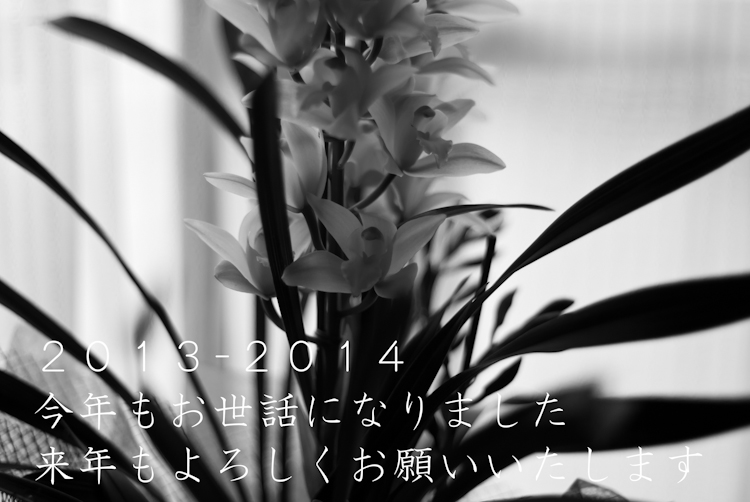IMGP2035-Edit.jpg