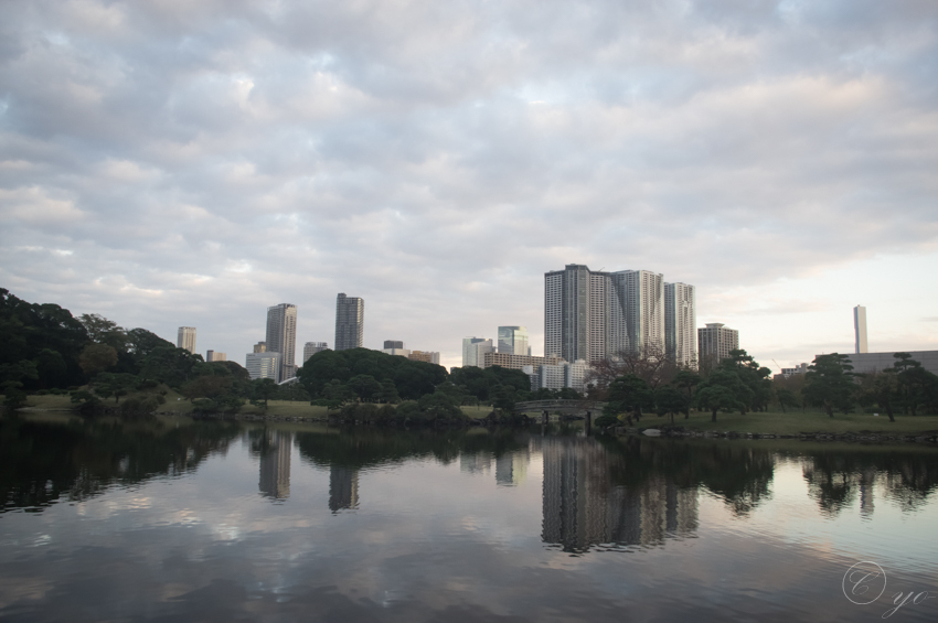 IMGP3445-Edit.jpg