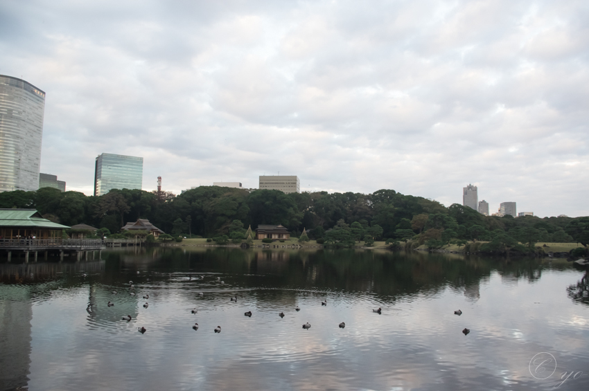 IMGP3452.jpg