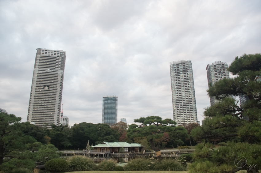 IMGP3463.jpg