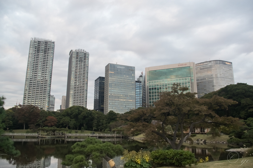 IMGP3471.jpg