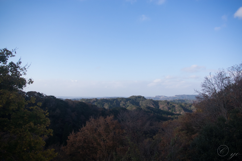 IMGP3498.jpg