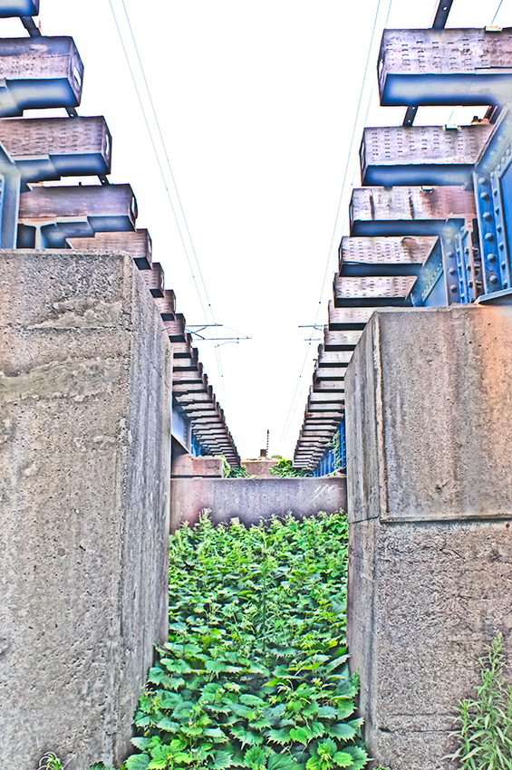 IMGP5738-Edit.jpg