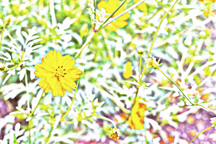 IMGP6120-Edit.jpg