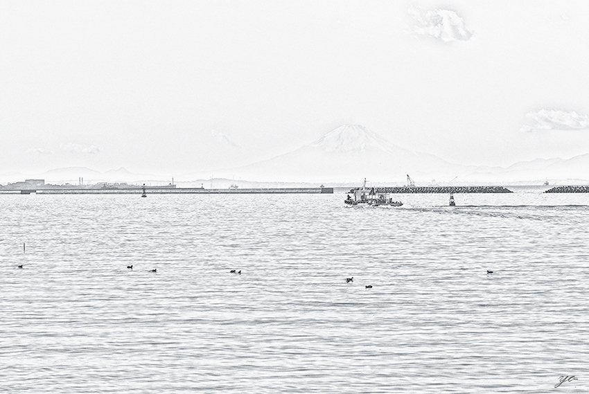 IMGP8555-Edit.jpg