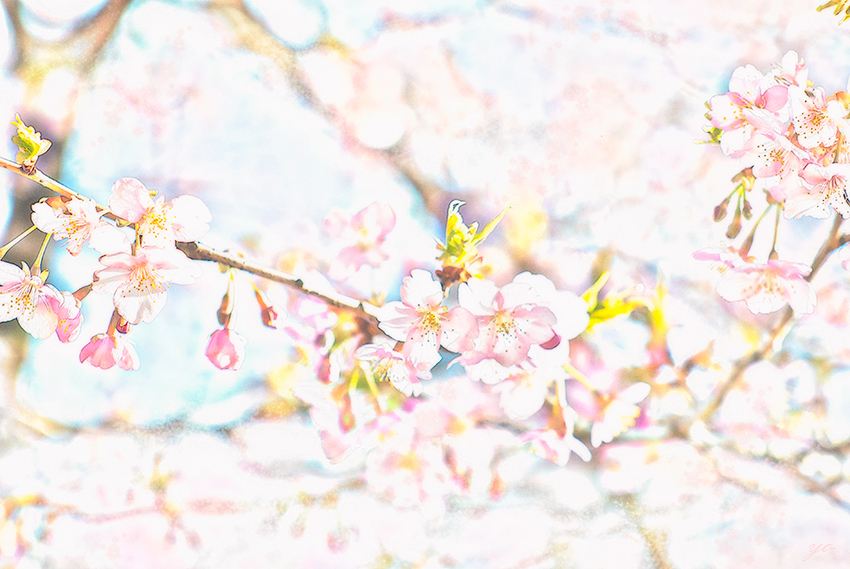 IMGP9142-Edit-2.jpg